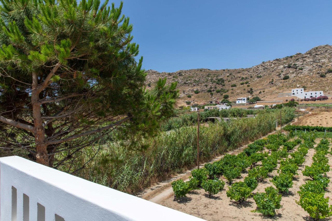 Oneiric Harmony Villa Mikri Vigla Buitenkant foto