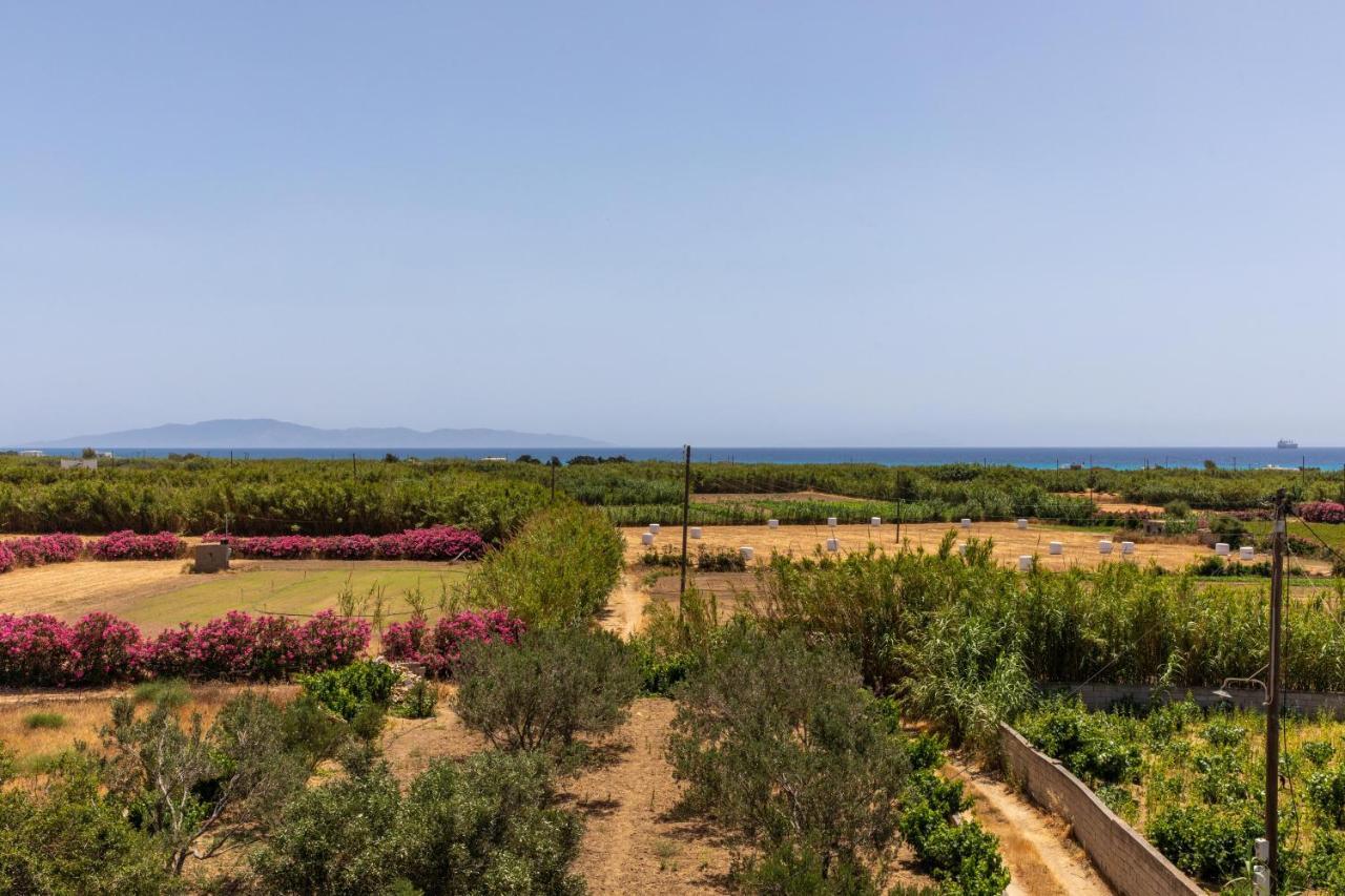 Oneiric Harmony Villa Mikri Vigla Buitenkant foto